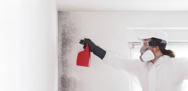 Best Mold Remediation for Schools in Carencro, LA